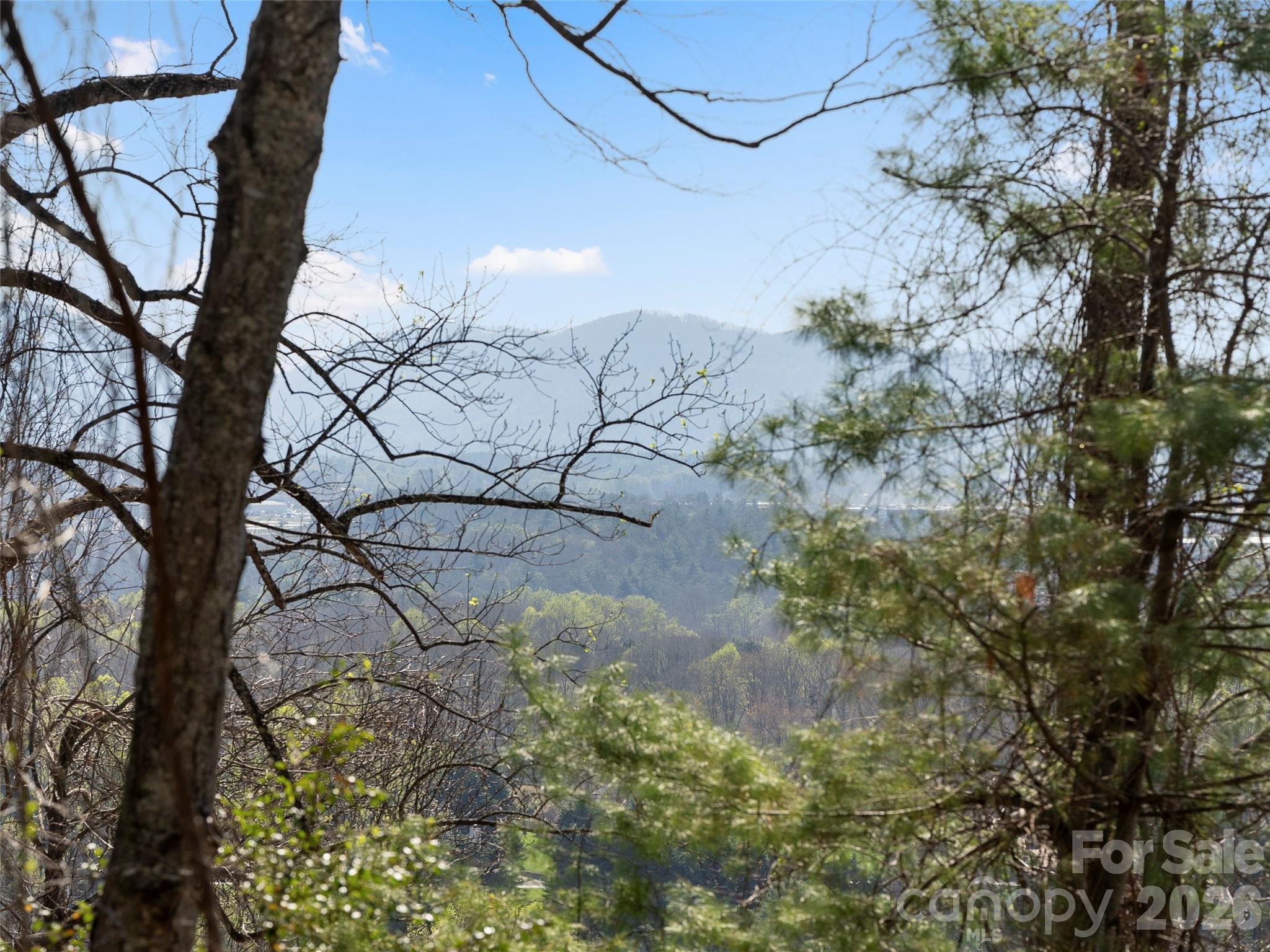 44 Ridge Pine Trail Arden NC 28704