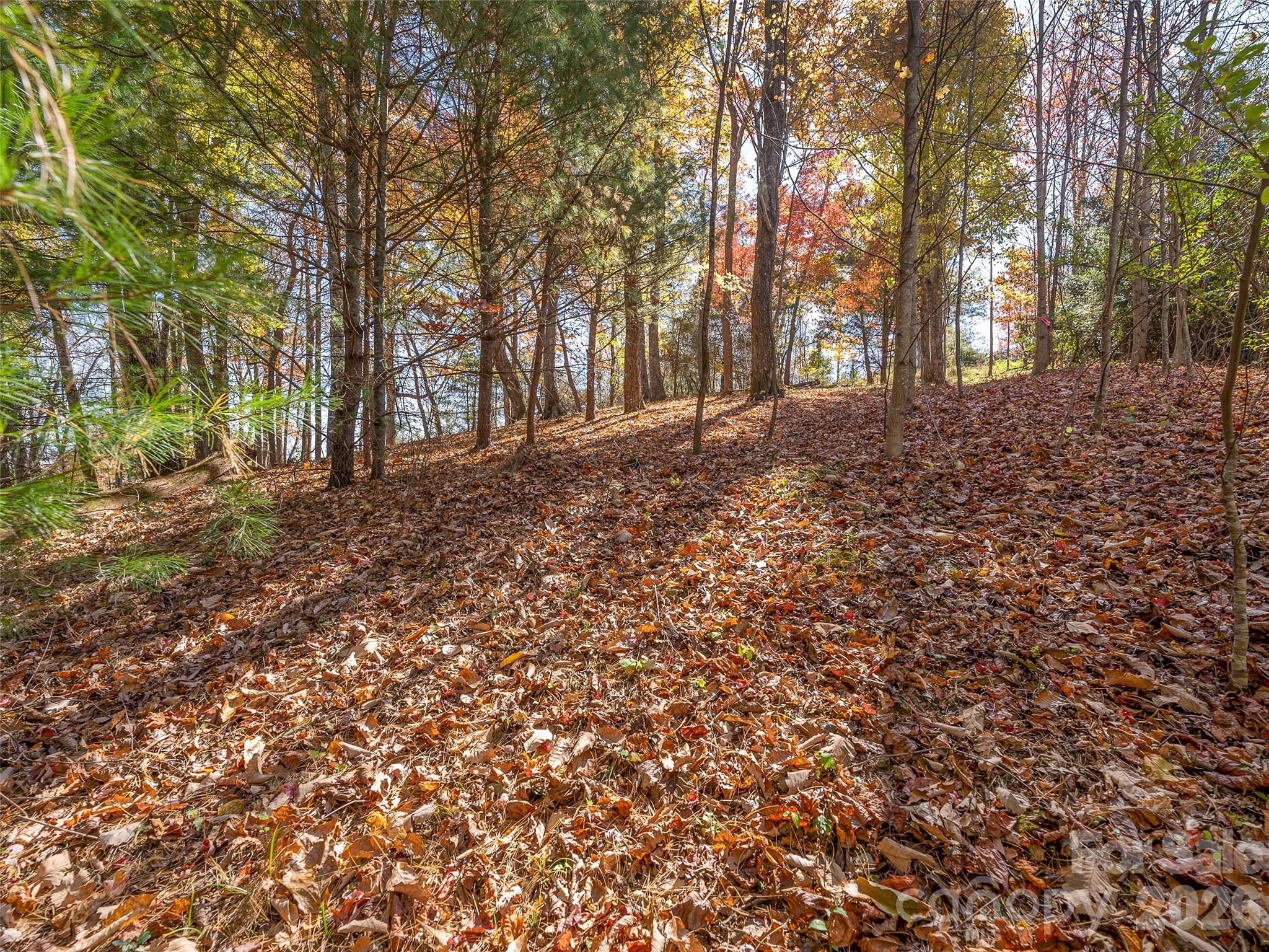 44 Ridge Pine Trail Arden NC 28704