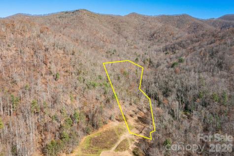 000 Cook Cove Road Weaverville NC 28787