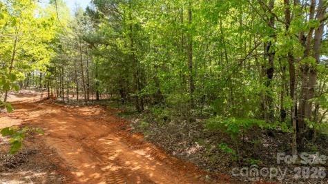 197 Long Leaf Pine Drive Hiddenite NC 28636
