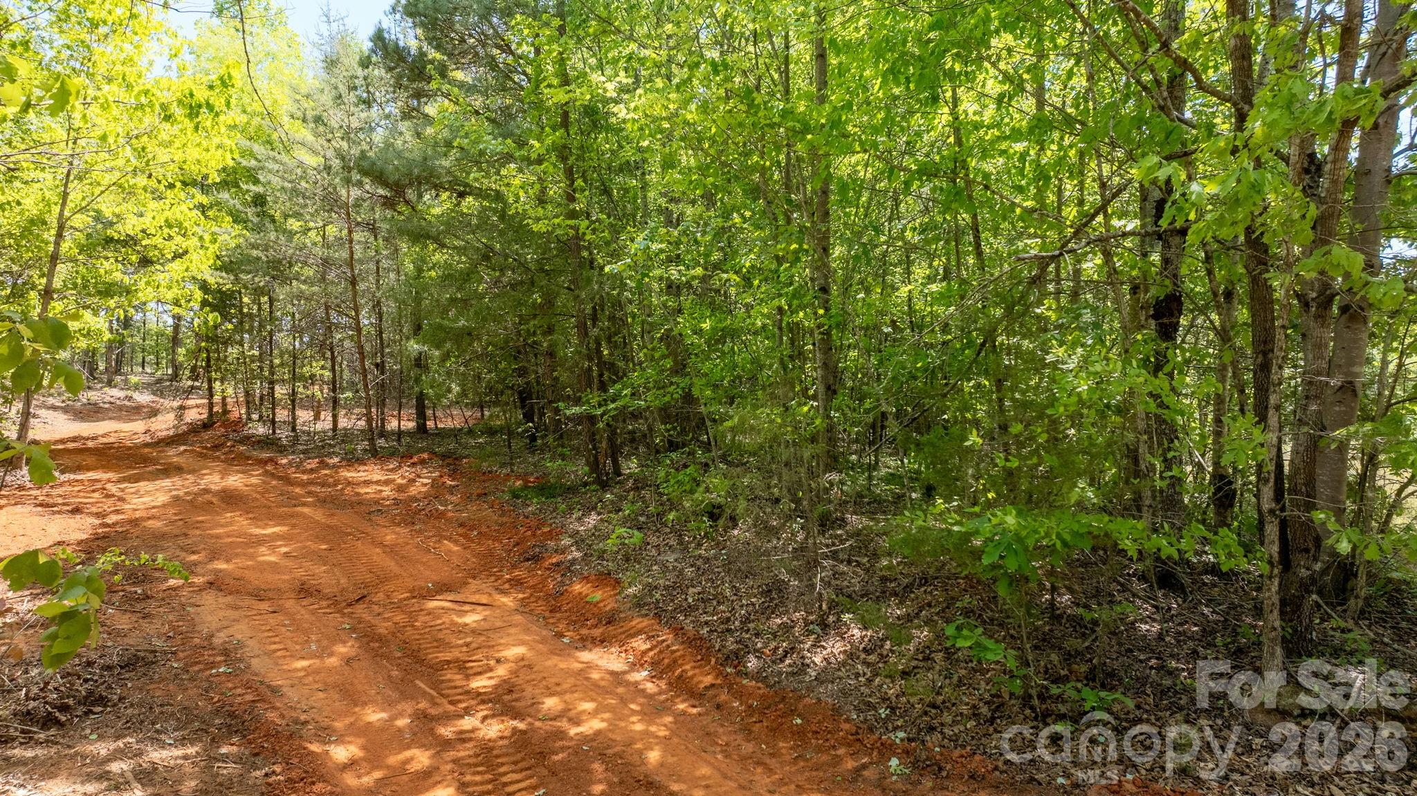 197 Long Leaf Pine Drive Hiddenite NC 28636