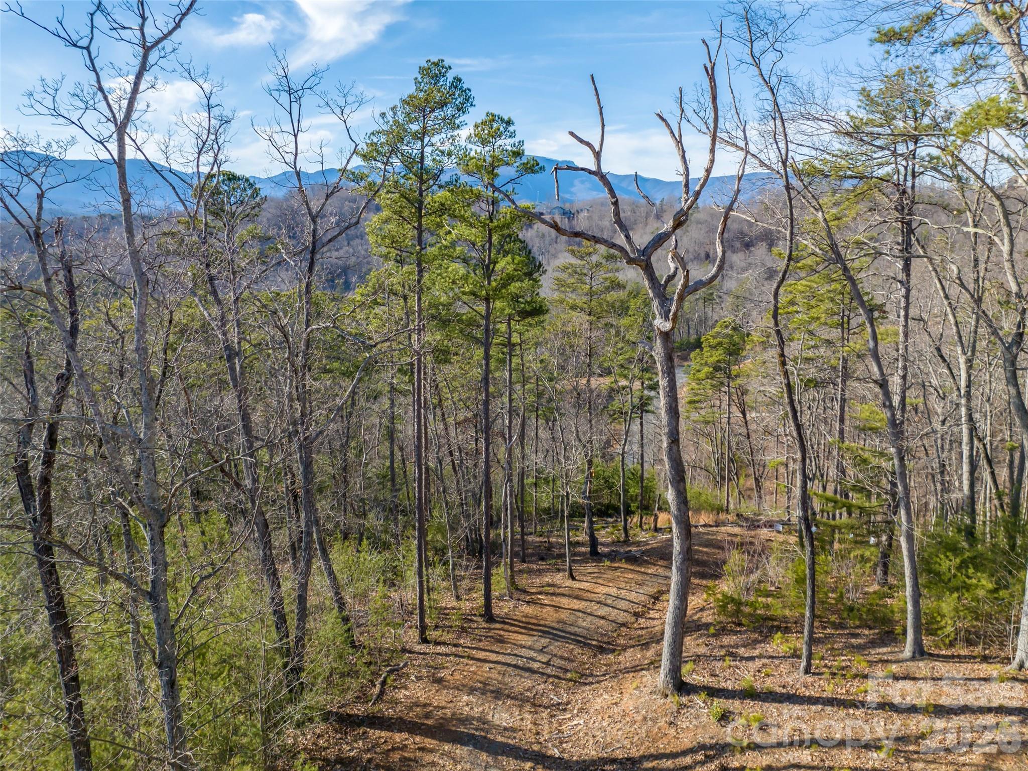 223 Rock Ledge Drive Lake Lure NC 28746