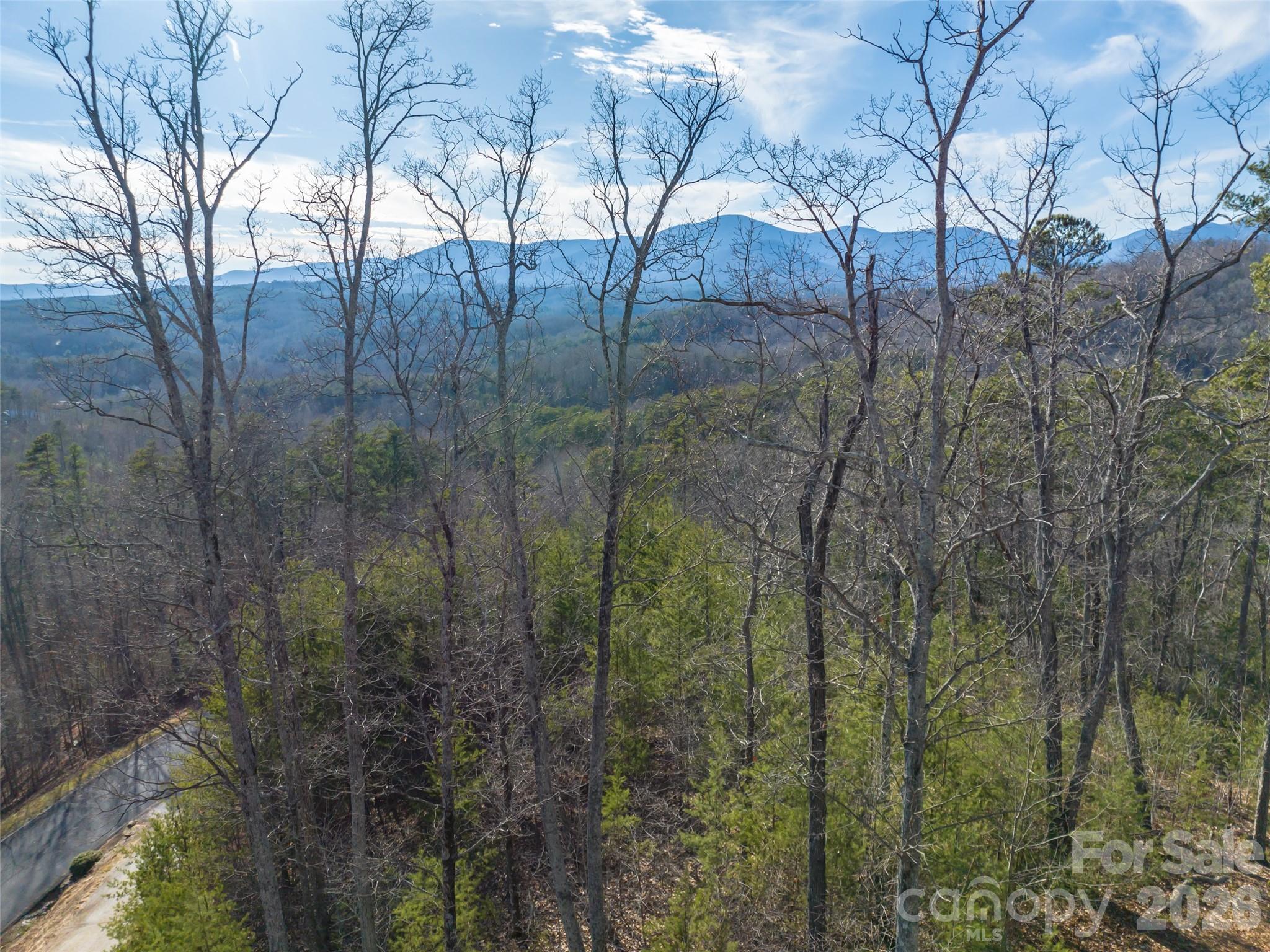 223 Rock Ledge Drive Lake Lure NC 28746