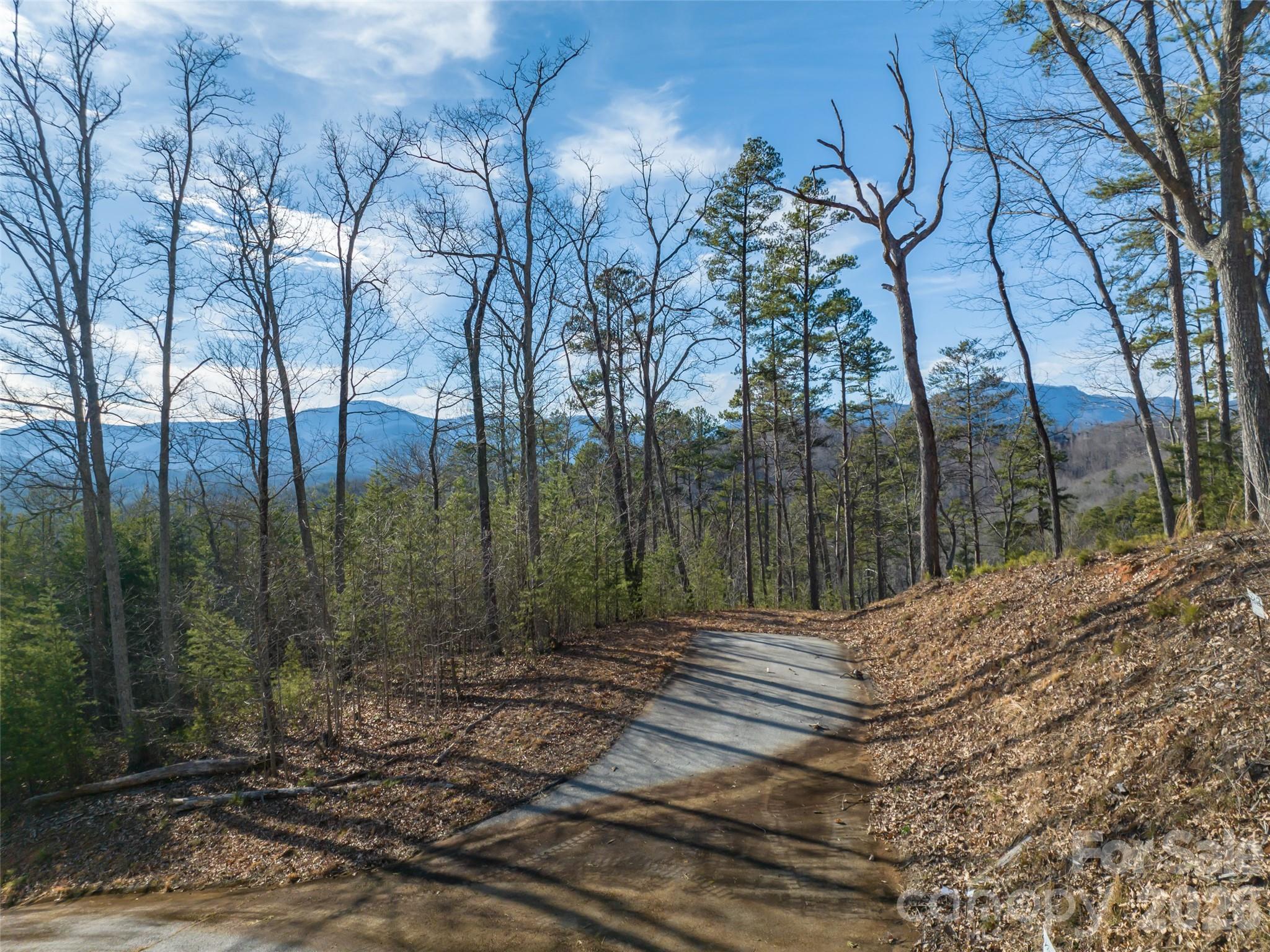 223 Rock Ledge Drive Lake Lure NC 28746