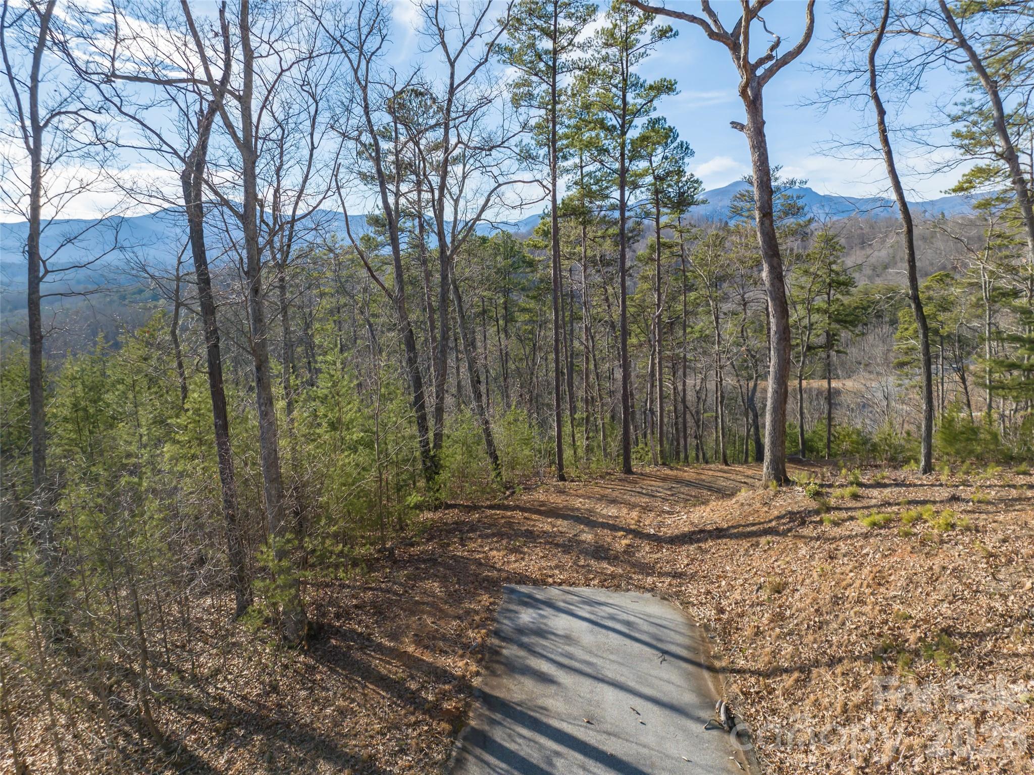 223 Rock Ledge Drive Lake Lure NC 28746