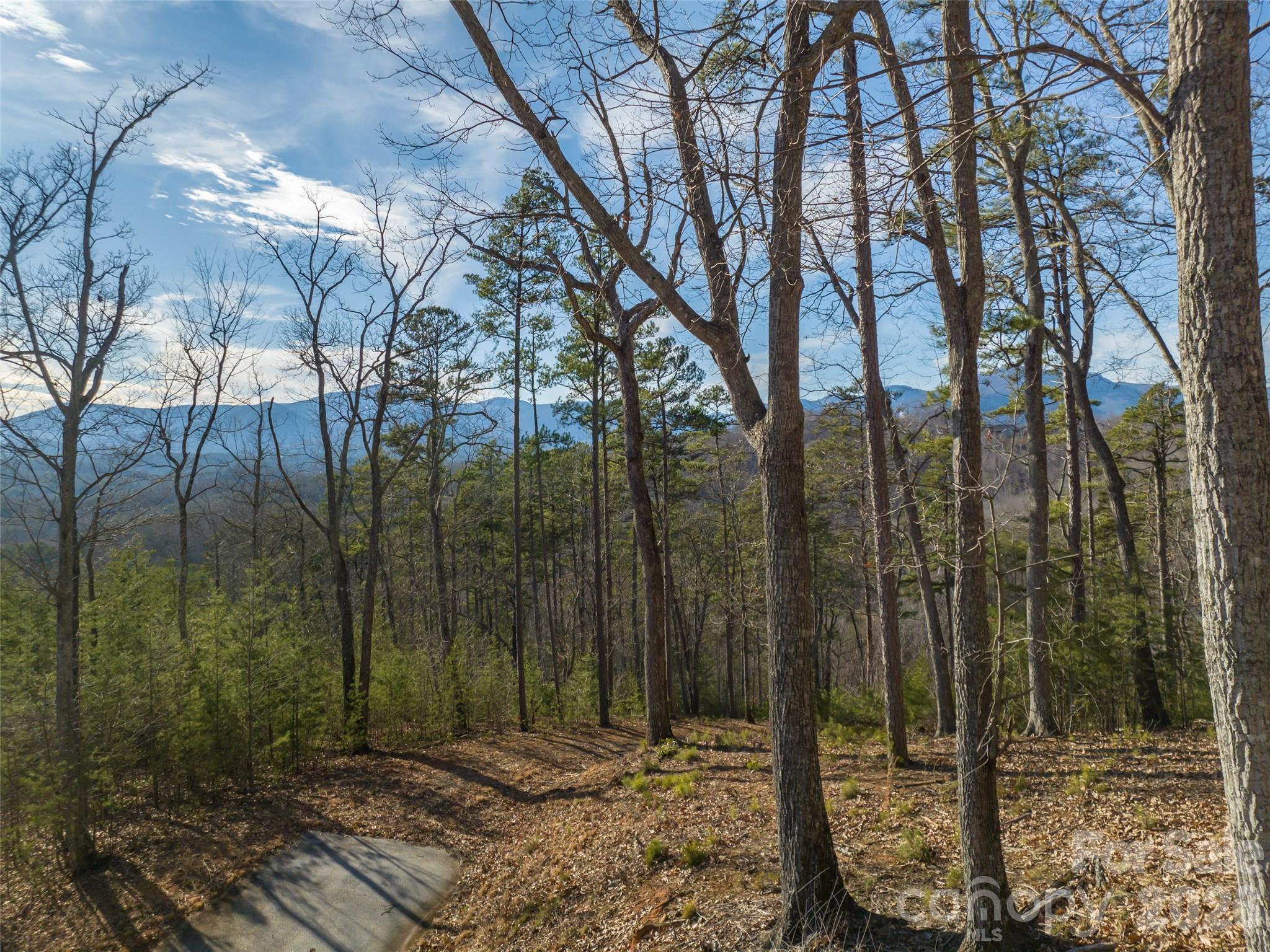 223 Rock Ledge Drive Lake Lure NC 28746