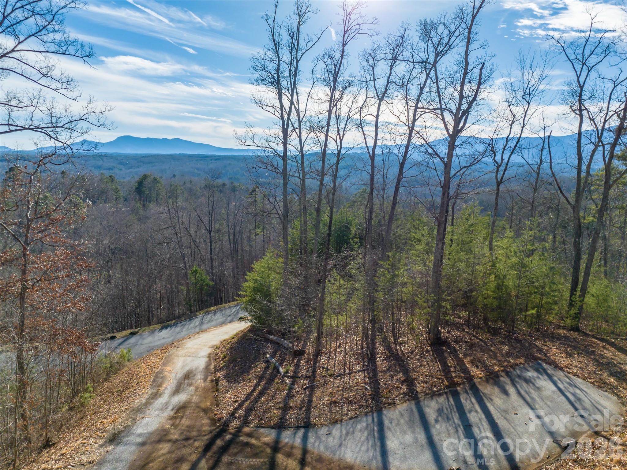 223 Rock Ledge Drive Lake Lure NC 28746