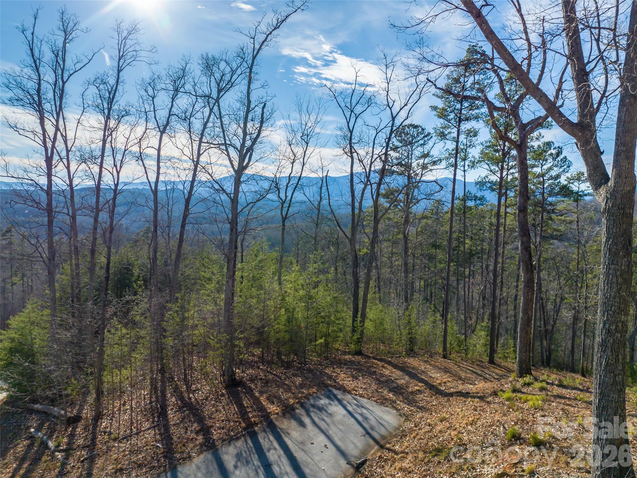 223 Rock Ledge Drive Lake Lure NC 28746