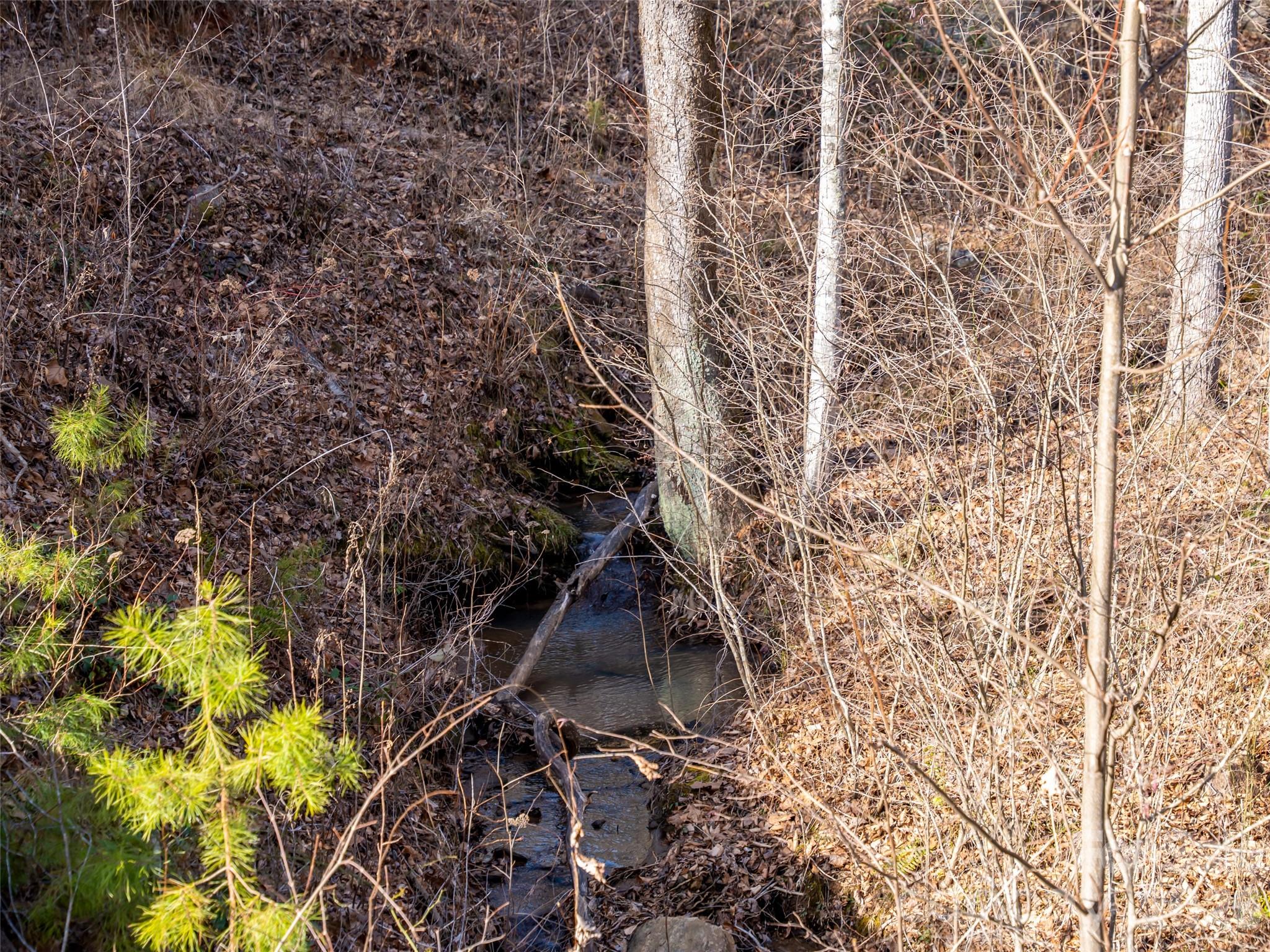223 Rock Ledge Drive Lake Lure NC 28746