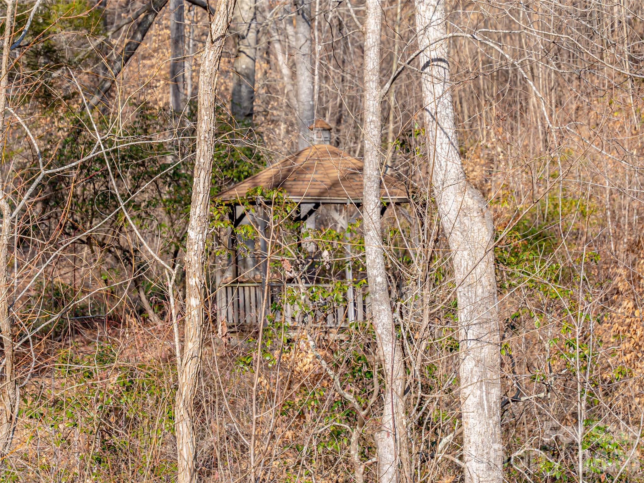 223 Rock Ledge Drive Lake Lure NC 28746