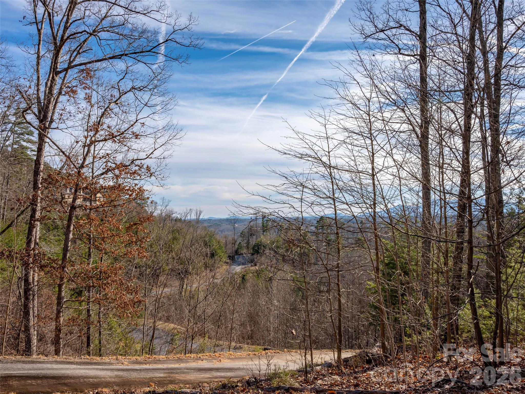 223 Rock Ledge Drive Lake Lure NC 28746