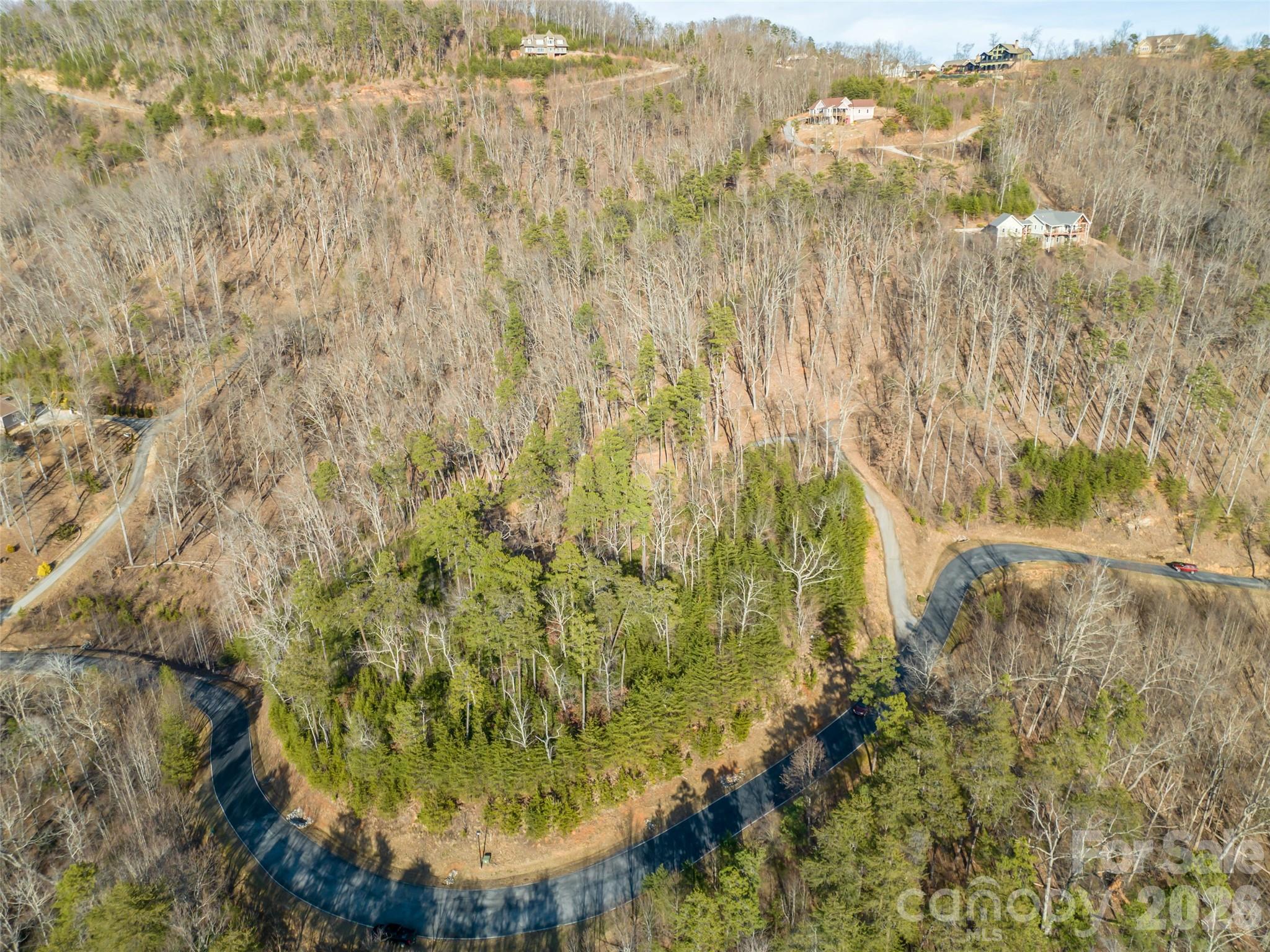 223 Rock Ledge Drive Lake Lure NC 28746