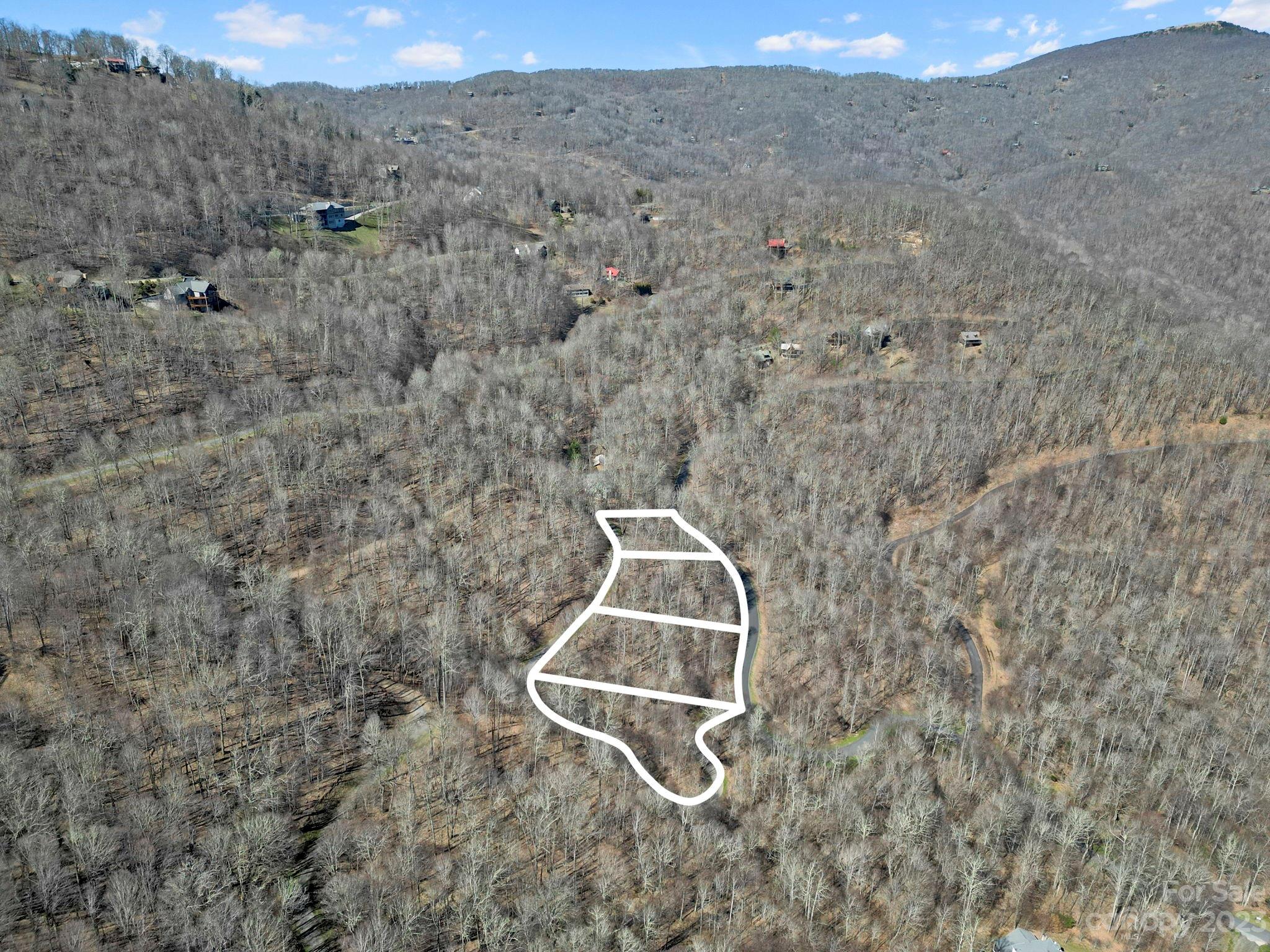 15 Chestnut Village Lane Mars Hill NC 28754