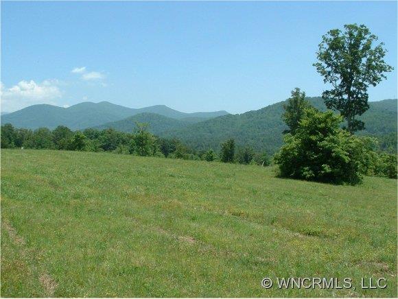 31 Governor Thomson Terrace Weaverville NC 28787