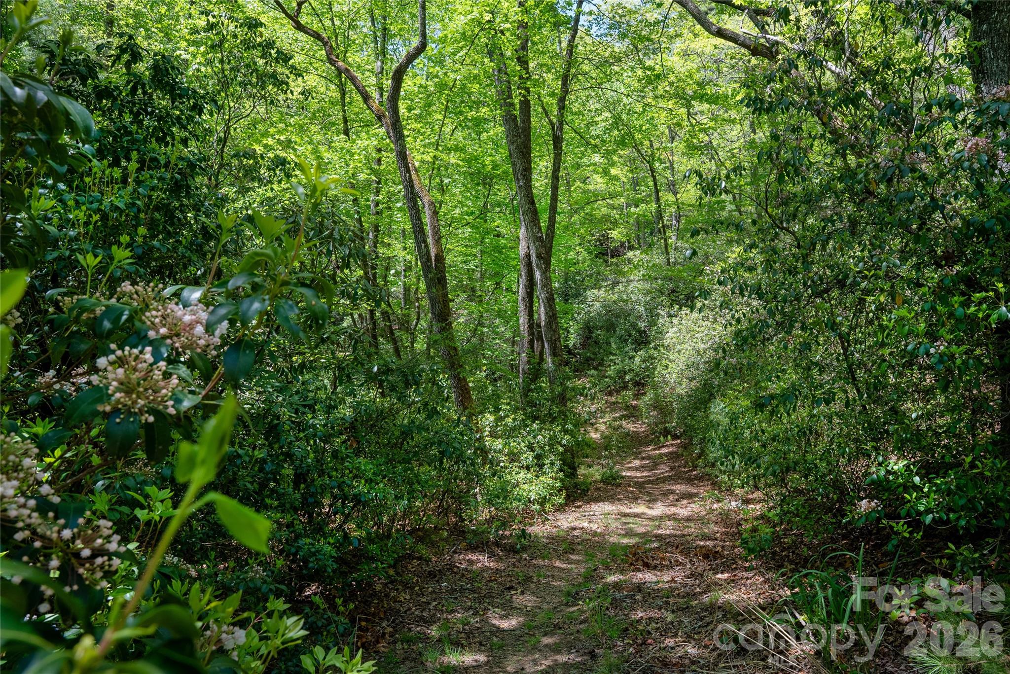 Tbd Springhouse Trail Brevard NC 28712