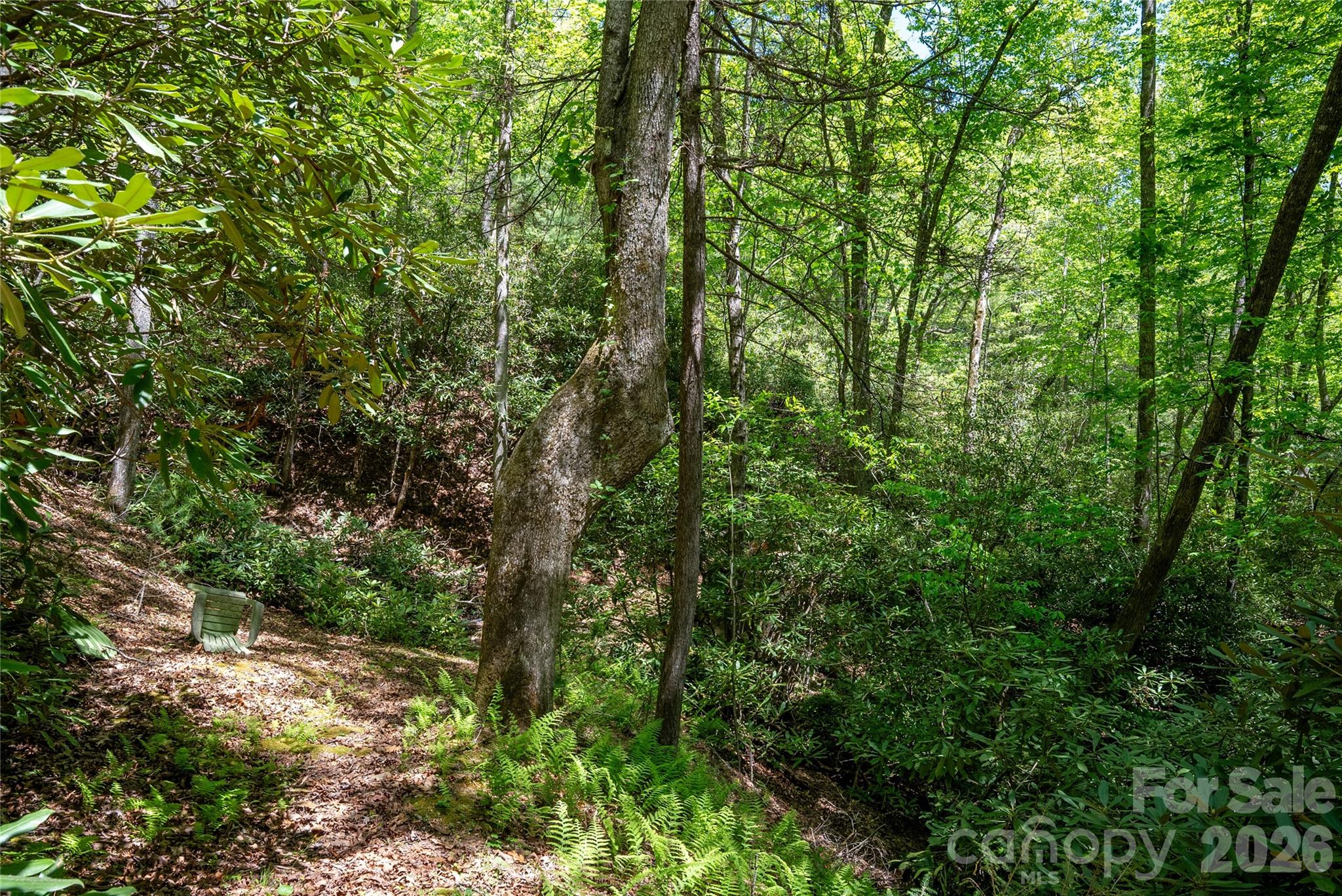 Tbd Springhouse Trail Brevard NC 28712
