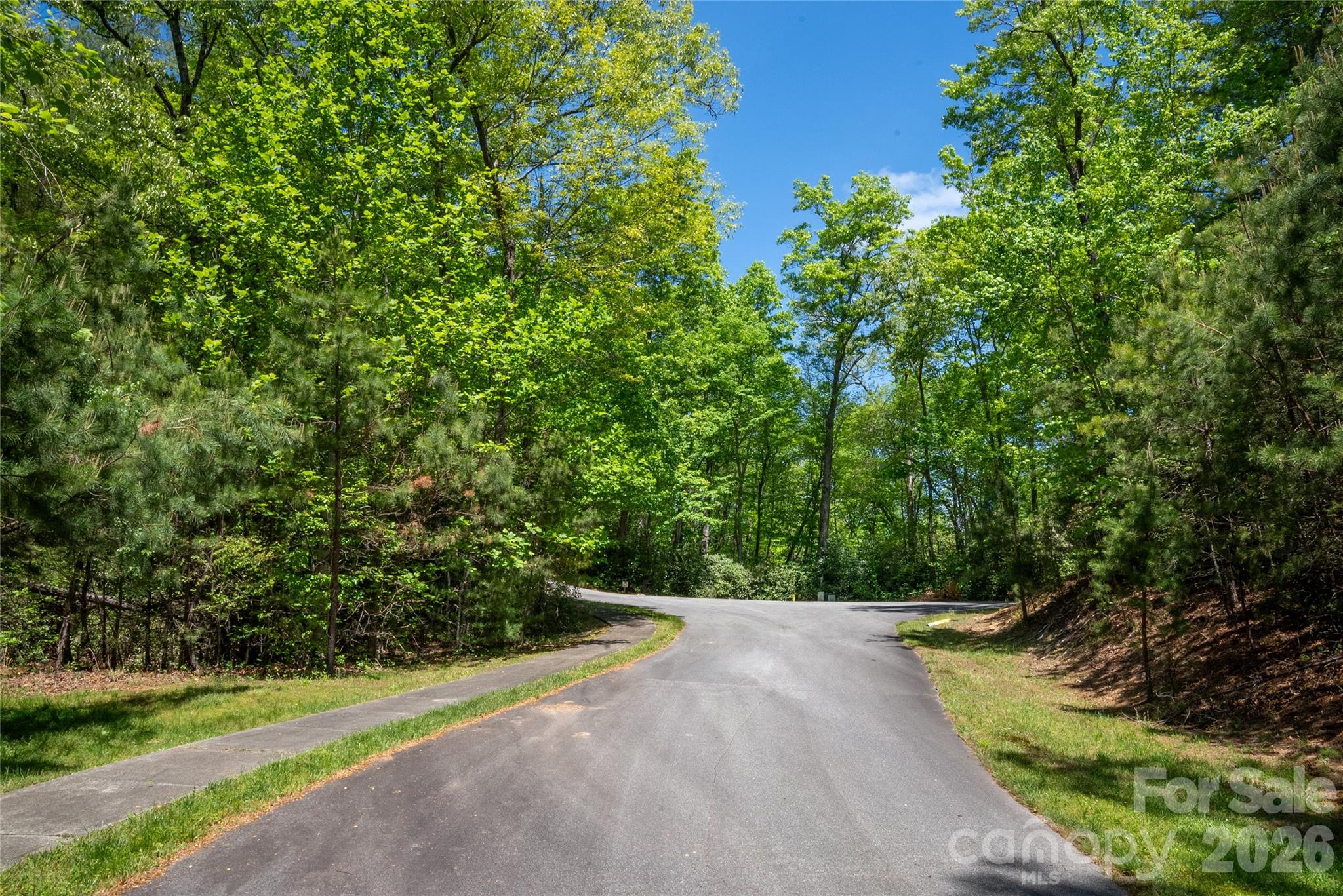 Tbd Springhouse Trail Brevard NC 28712