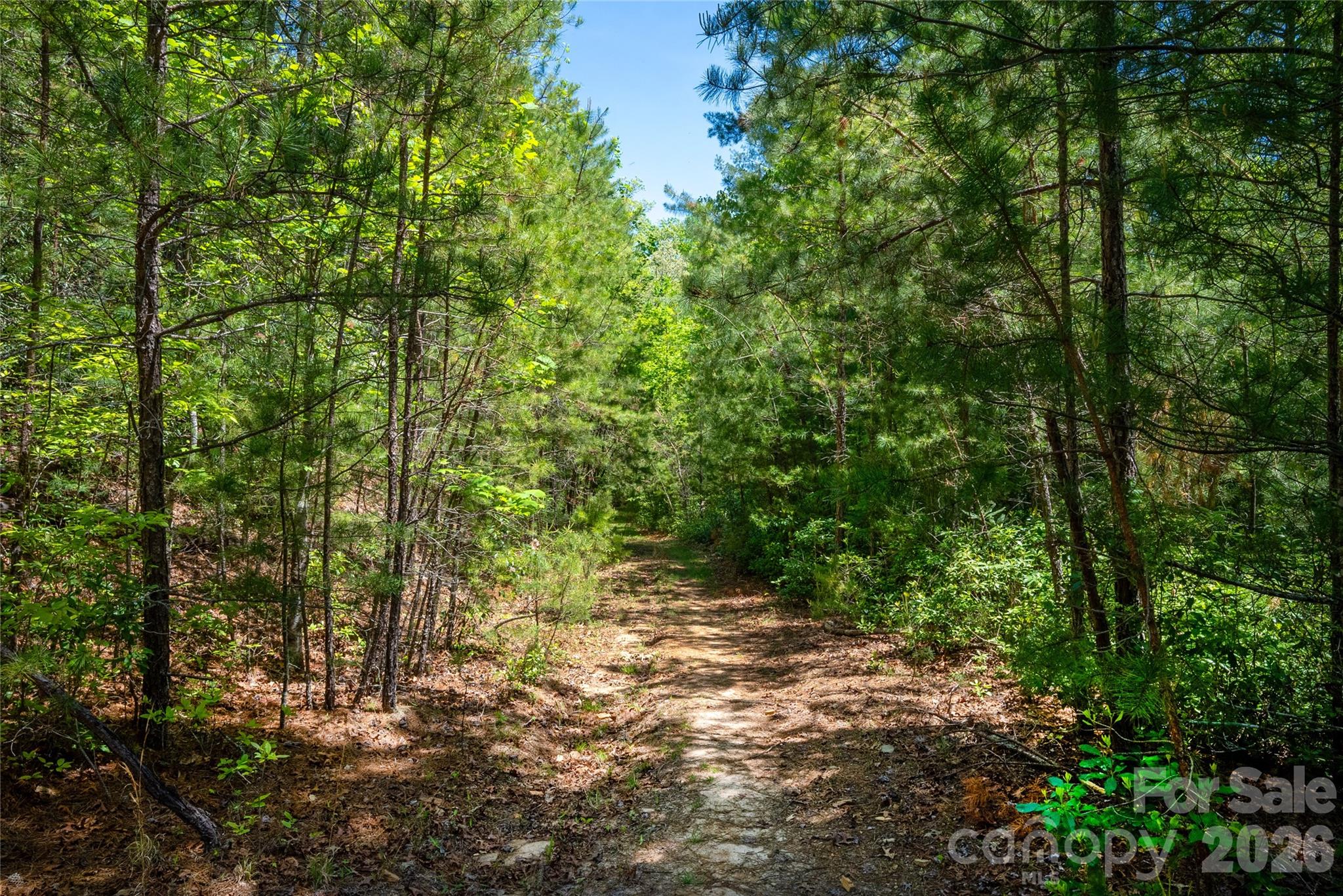 Tbd Springhouse Trail Brevard NC 28712