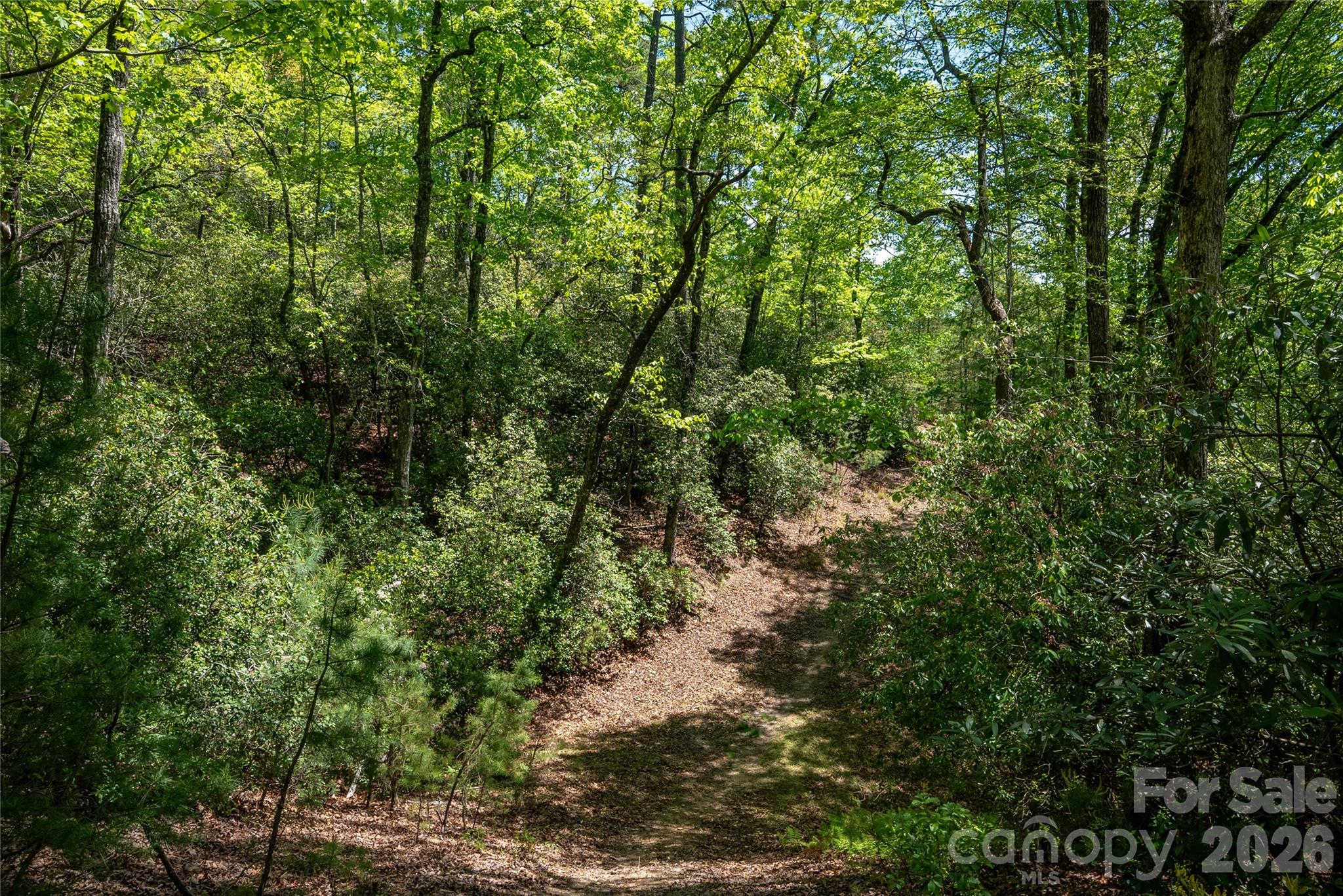 Tbd Springhouse Trail Brevard NC 28712