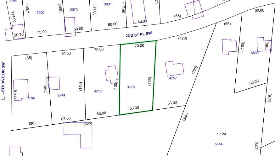603 2nd Street Place SW Conover NC 28613