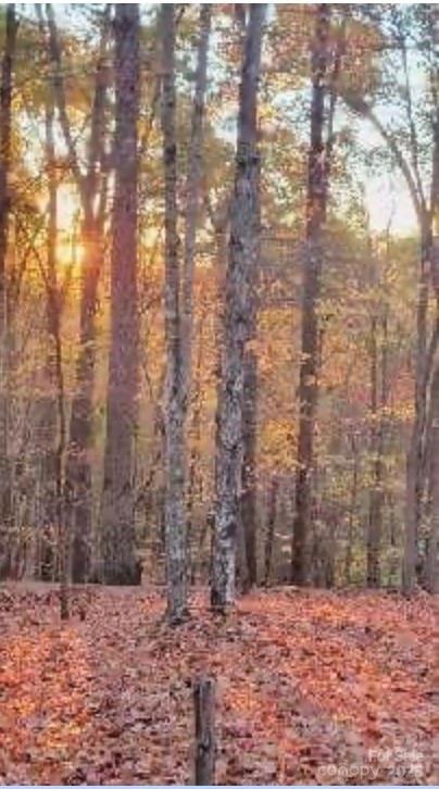 V/l Trellis Drive Marion NC 28761