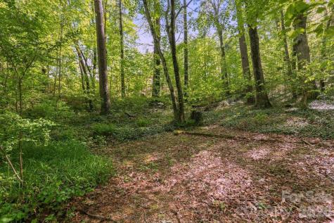 000 Skyline Drive Hendersonville NC 28791