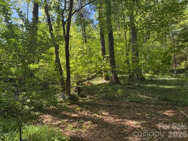 000 Skyline Drive Hendersonville NC 28791