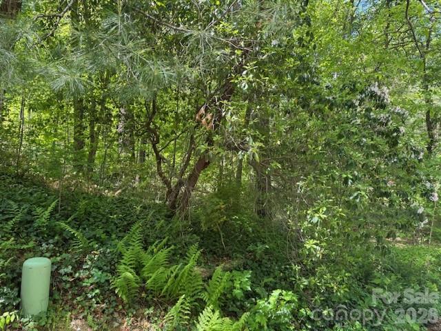 000 Skyline Drive Hendersonville NC 28791