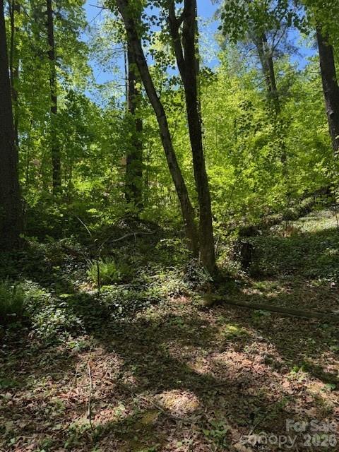 000 Skyline Drive Hendersonville NC 28791