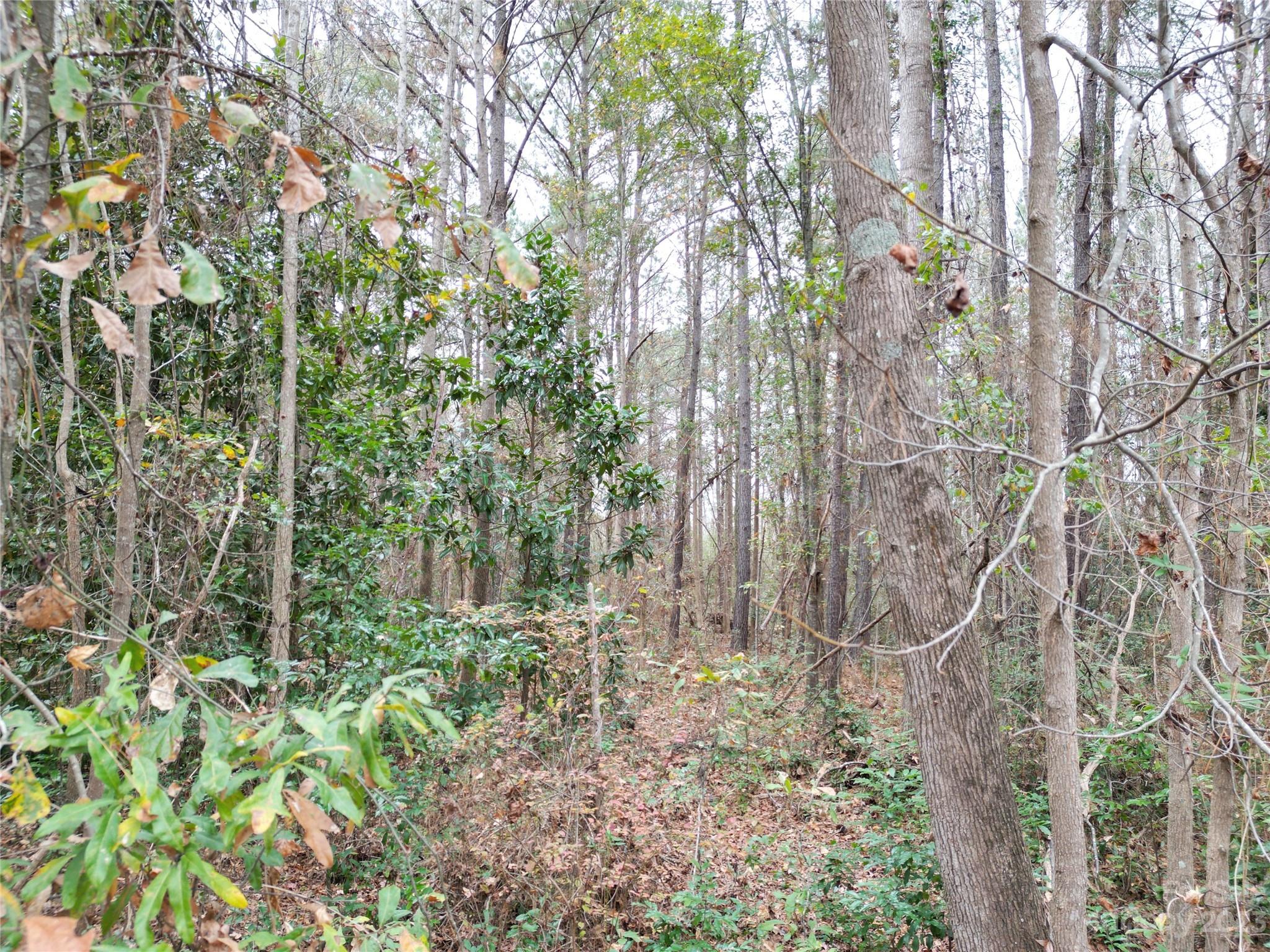 Tbd 5th Street Hamlet NC 28345