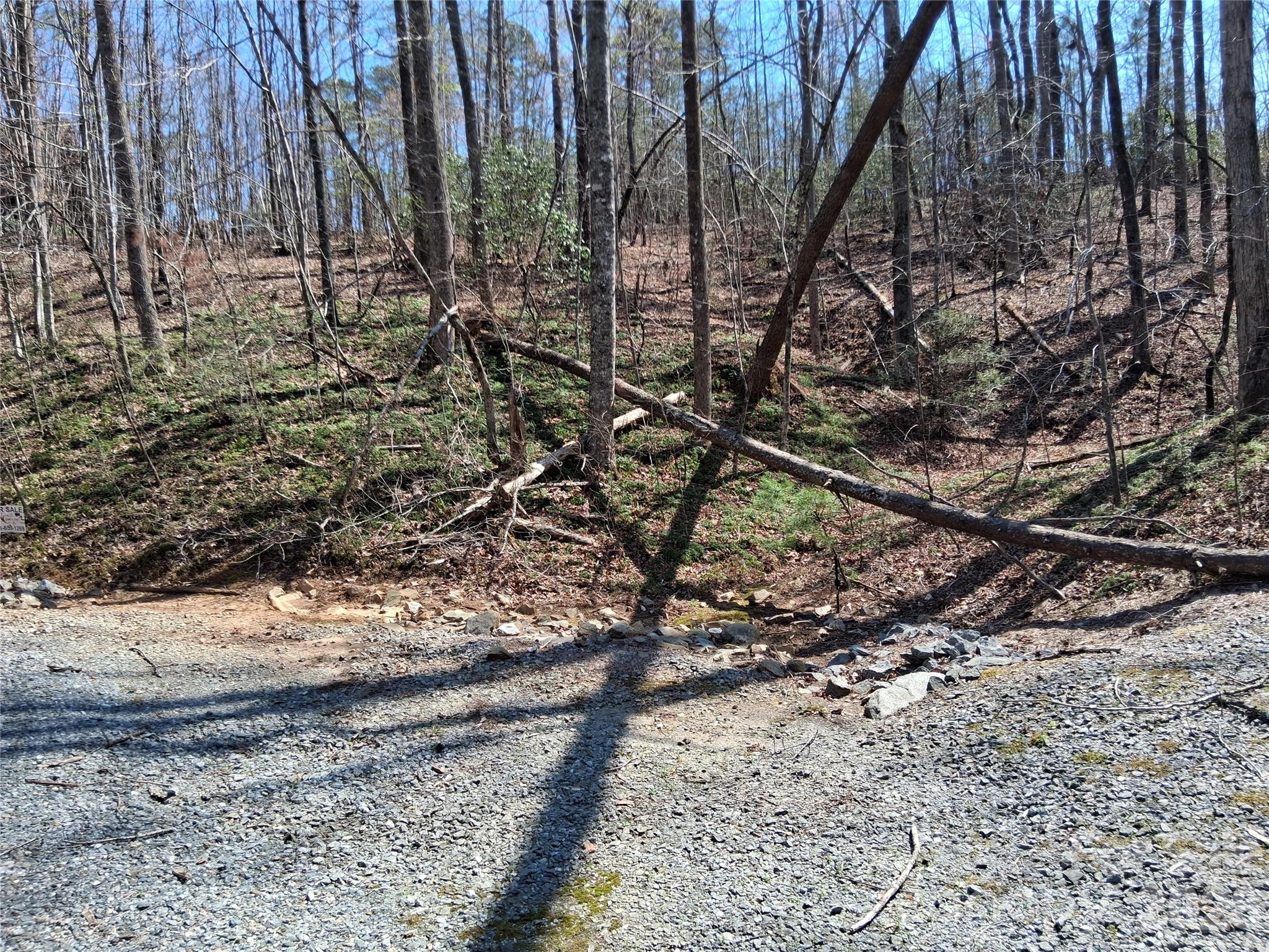 Tbd Hidden Lake Parkway Nebo NC 28761