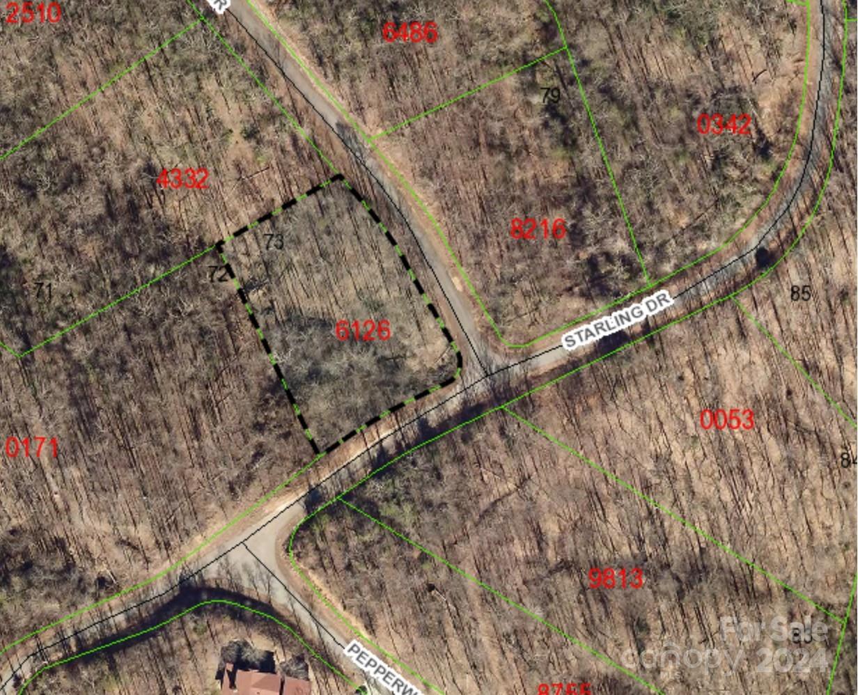 Lot #73 Black Lark Drive Marion NC 28752