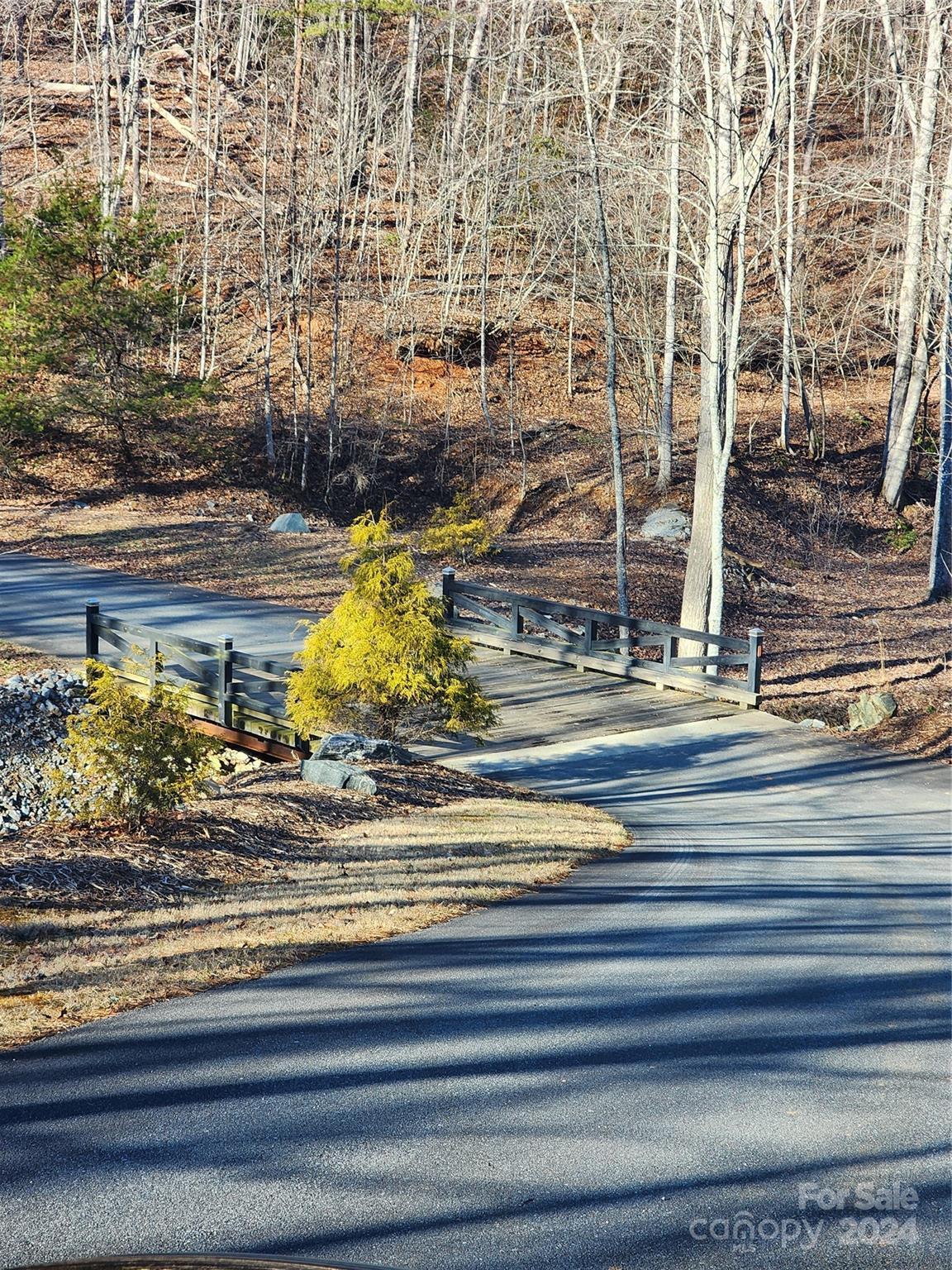 Lot #73 Black Lark Drive Marion NC 28752