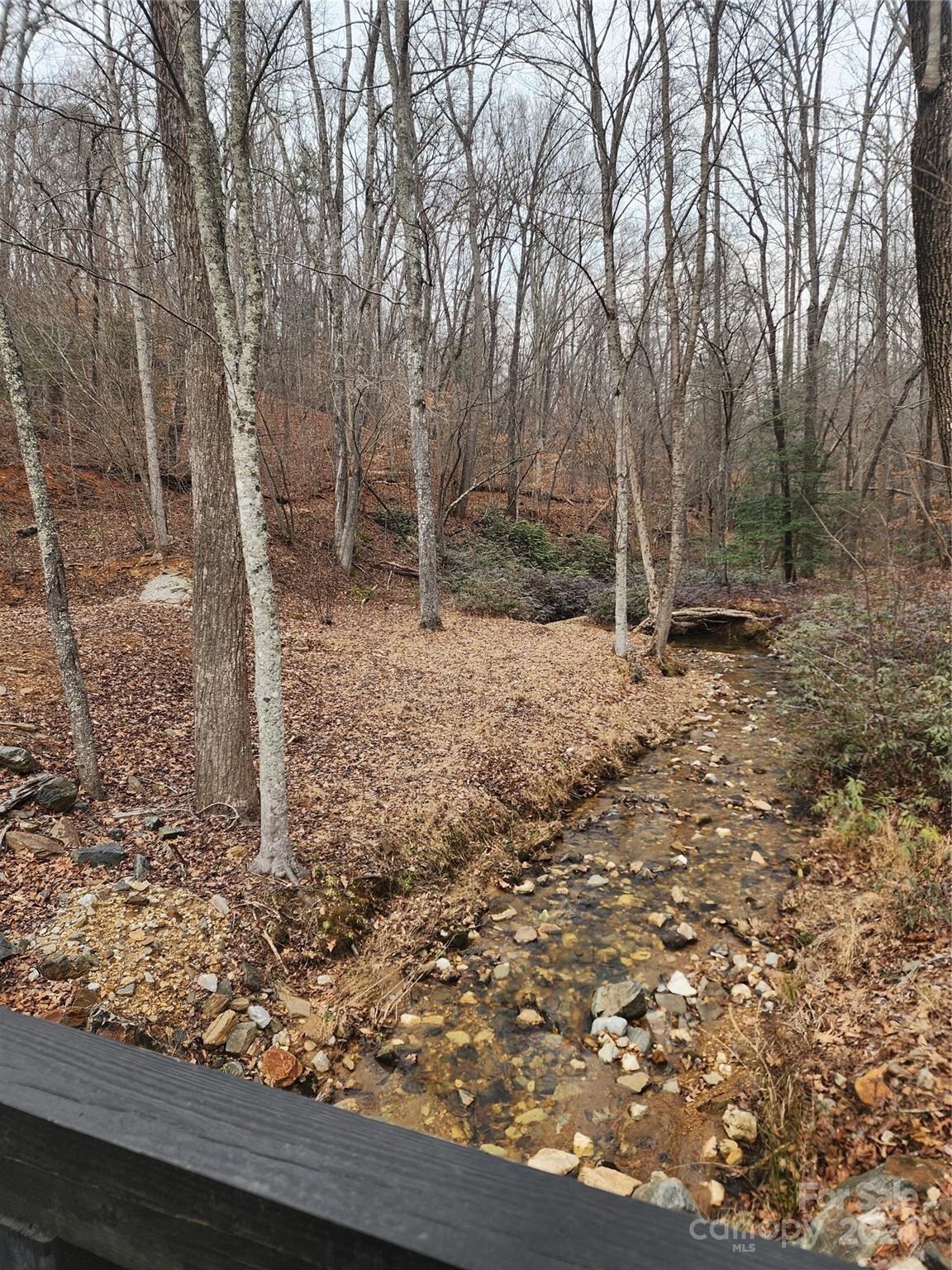Lot #73 Black Lark Drive Marion NC 28752