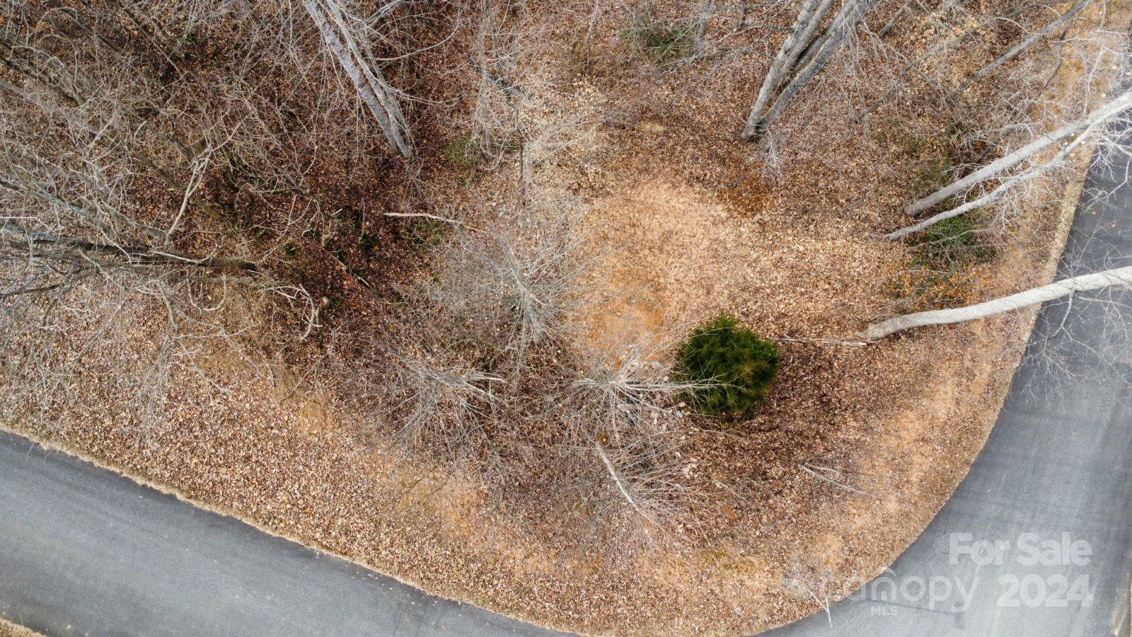 Lot #73 Black Lark Drive Marion NC 28752