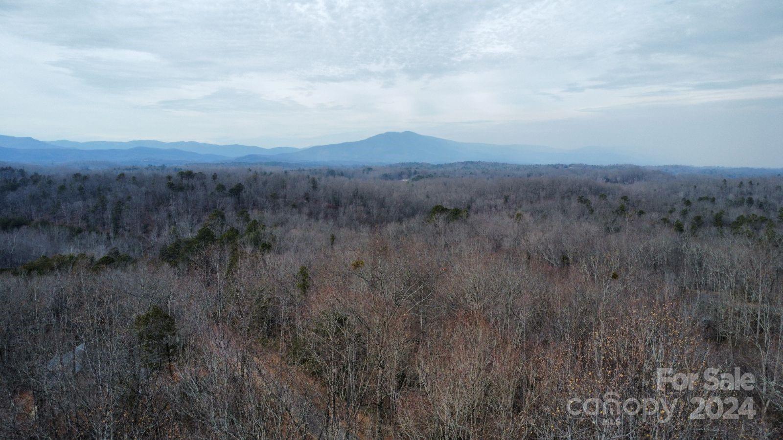 Lot #73 Black Lark Drive Marion NC 28752