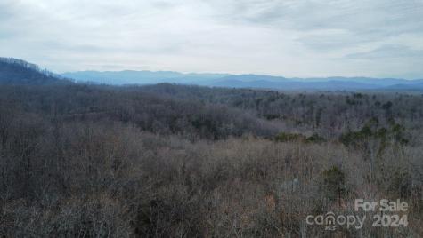Lot #73 Black Lark Drive Marion NC 28752