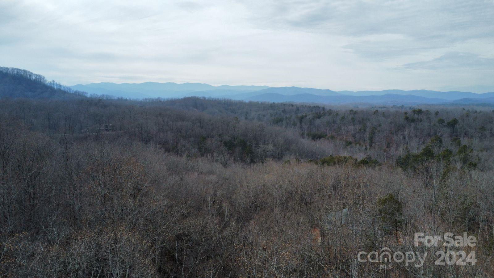 Lot #73 Black Lark Drive Marion NC 28752