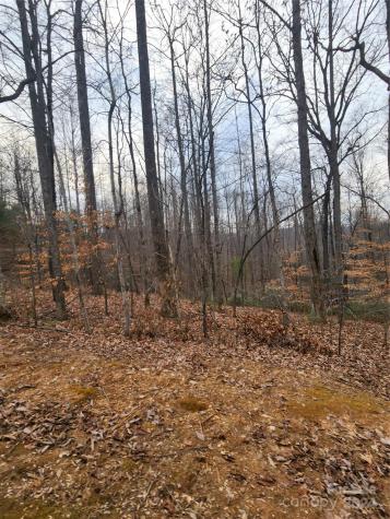 Lot #73 Black Lark Drive Marion NC 28752