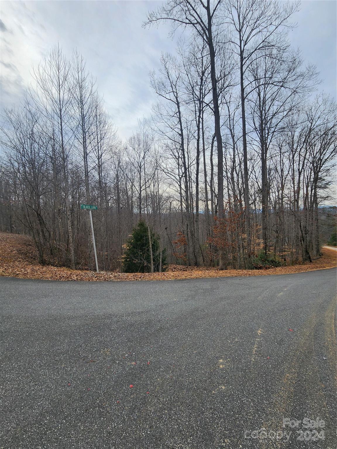 Lot #73 Black Lark Drive Marion NC 28752