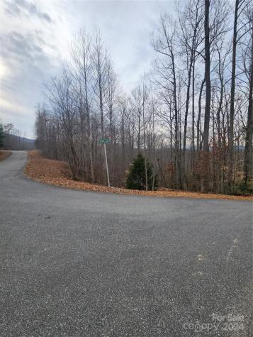 Lot #73 Black Lark Drive Marion NC 28752