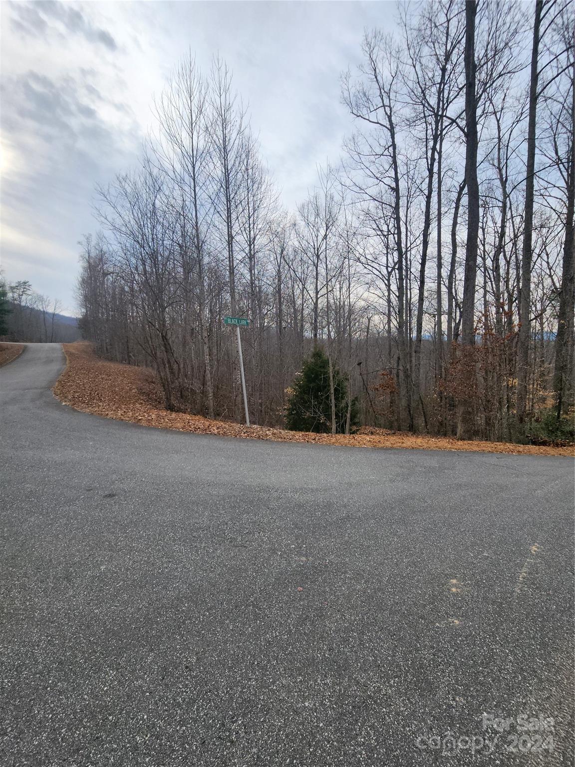 Lot #73 Black Lark Drive Marion NC 28752