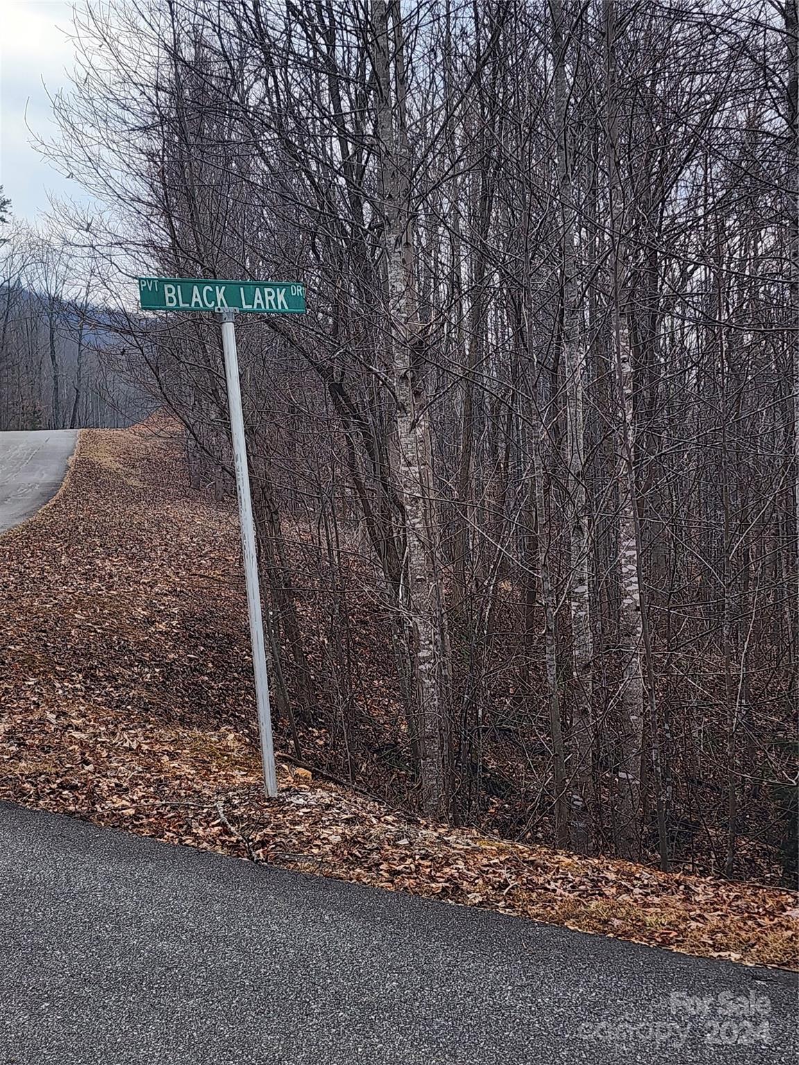 Lot #73 Black Lark Drive Marion NC 28752