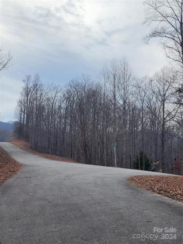 Lot #73 Black Lark Drive Marion NC 28752
