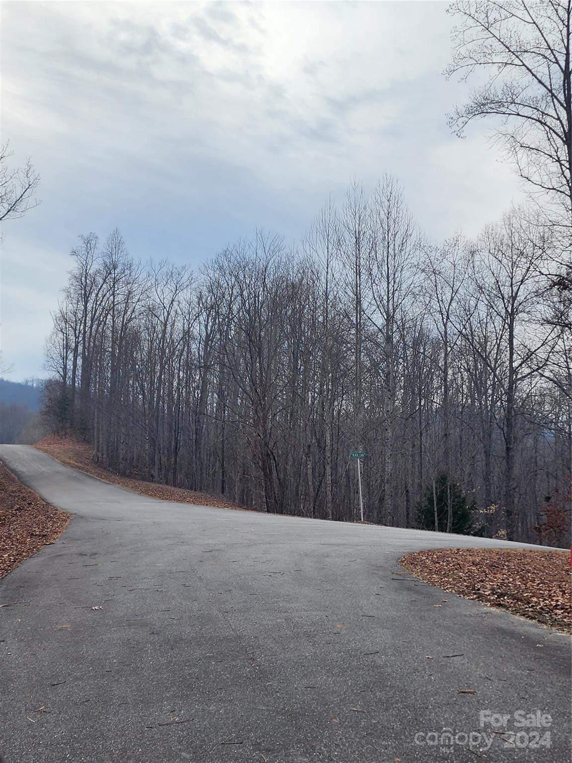Lot #73 Black Lark Drive Marion NC 28752