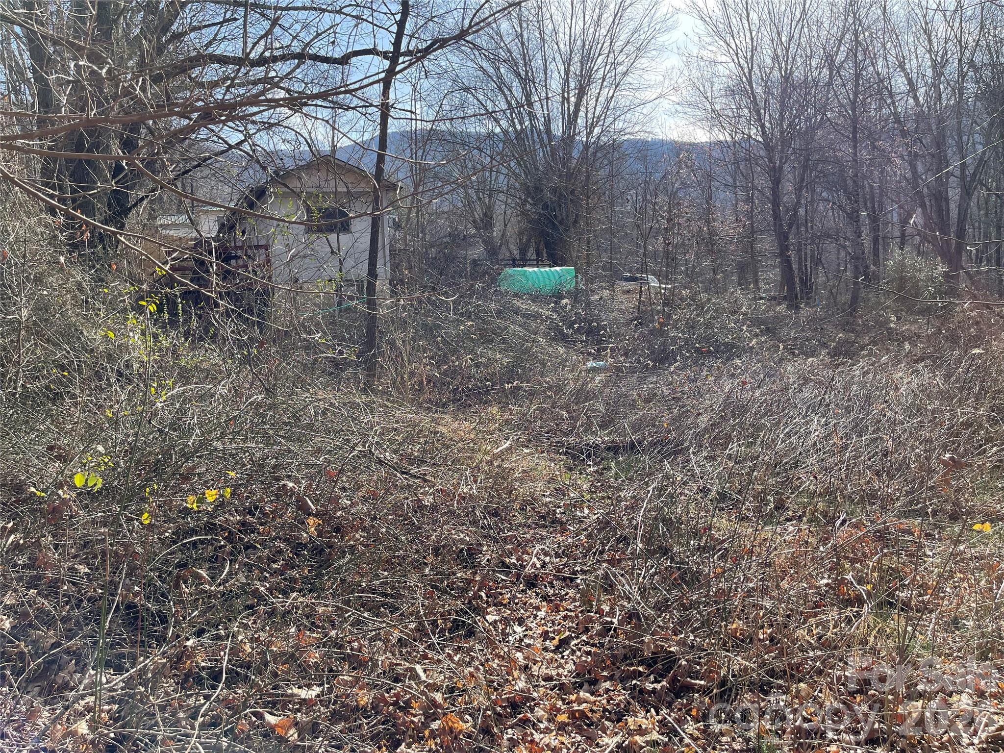 220 Max Metcalf Road Swannanoa NC 28778