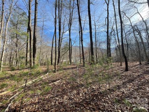 220 Max Metcalf Road Swannanoa NC 28778
