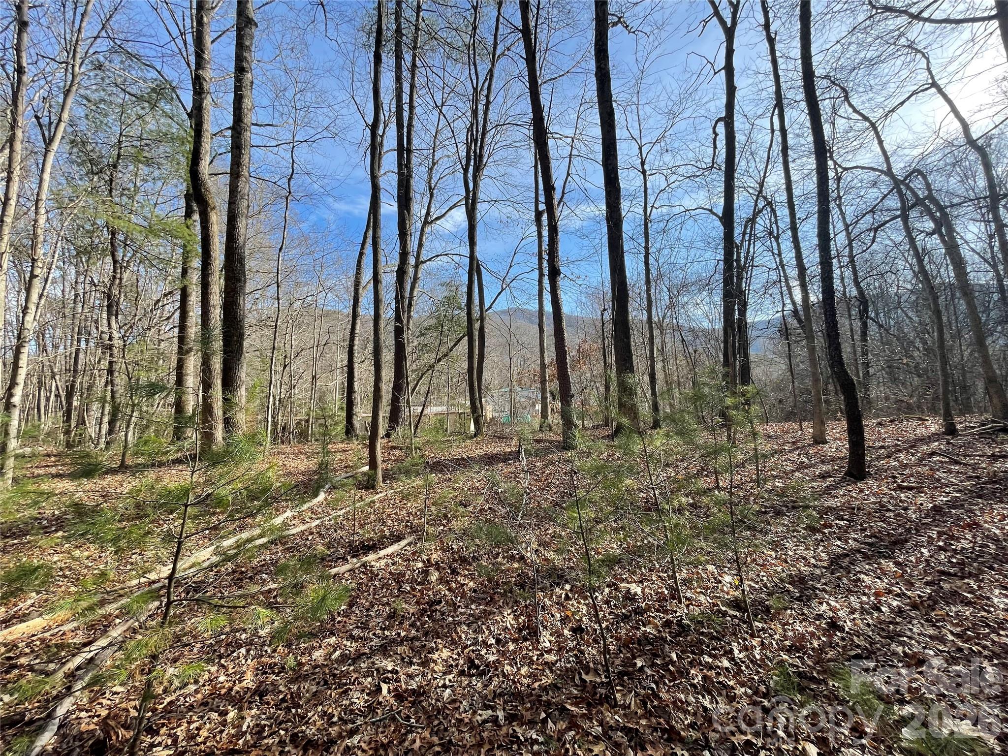 220 Max Metcalf Road Swannanoa NC 28778