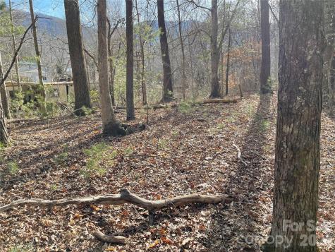 220 Max Metcalf Road Swannanoa NC 28778