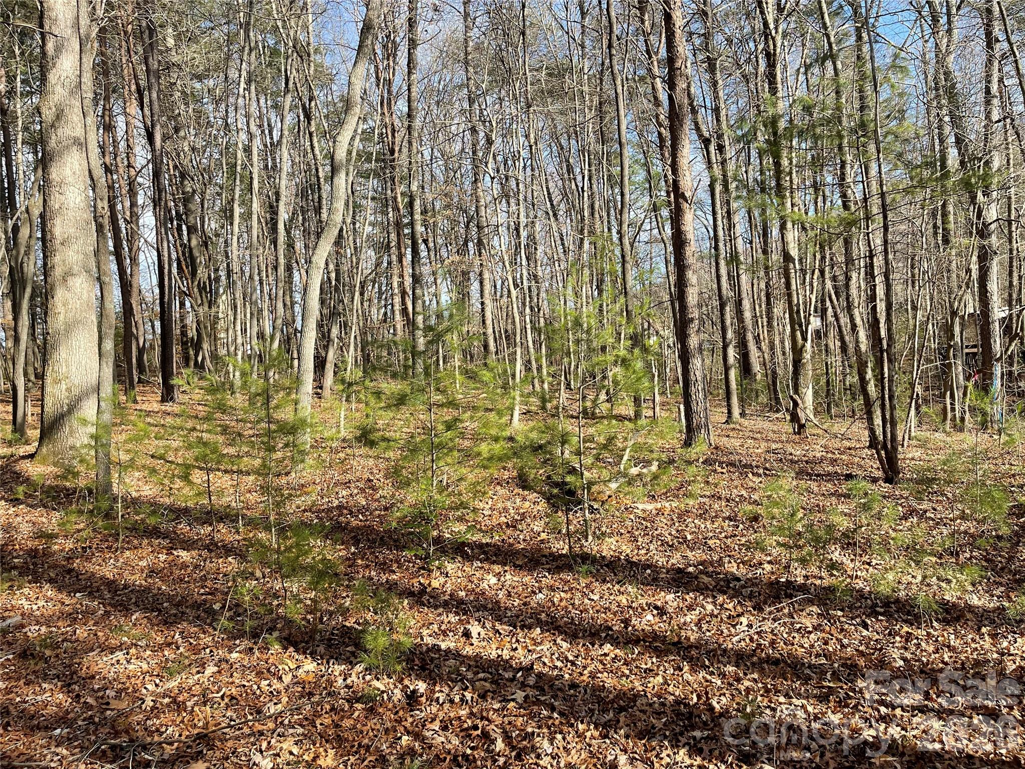 220 Max Metcalf Road Swannanoa NC 28778